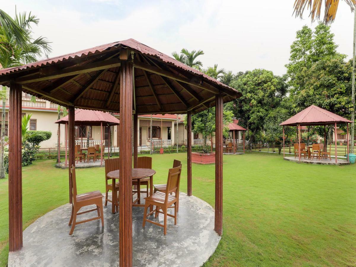 Hotel Wildlife Camp Sauraha Buitenkant foto